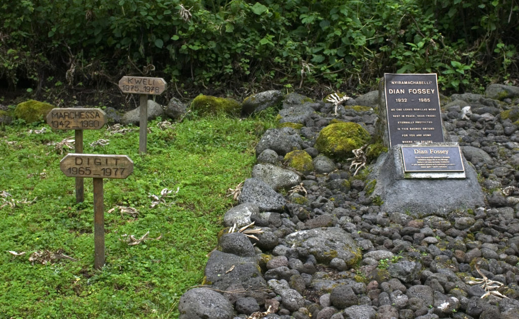 Visita a la tumba de Diane Fossey